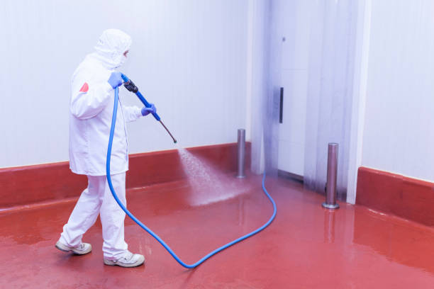 Professional Pressure Washing Services in White Haven, PA